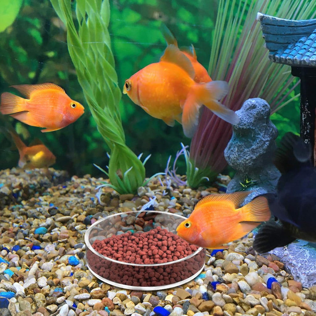 Aquarium Shrimp Feeder Dish Round Clear Fish Tank Feeding Dish Bowls (85mm)