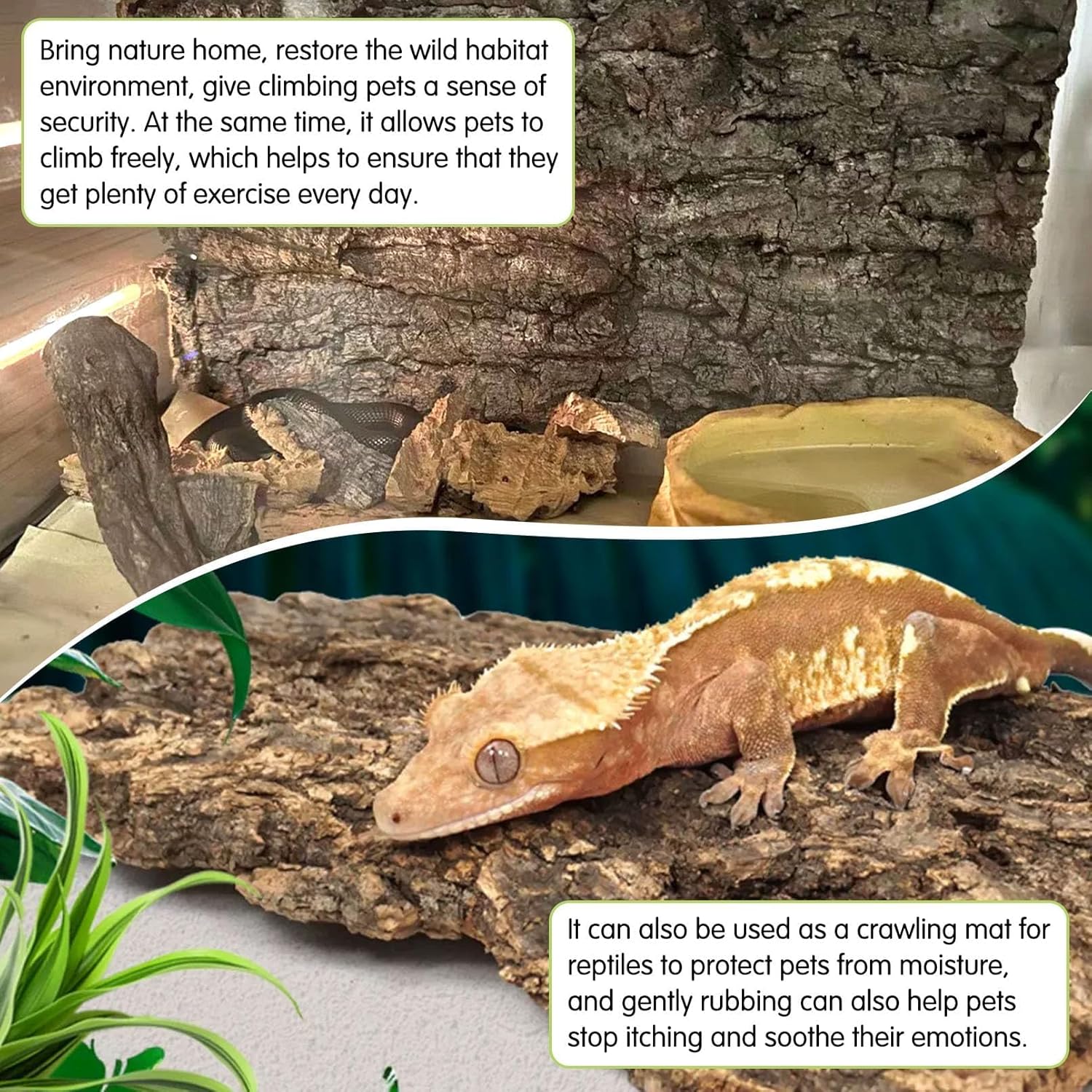 kathson 2PCS Thicker Cork Tile Background Bark 11.8 "L x 11.8" W x 0.7‘’ H Reptile Tank Terrarium Background Natural Reptile Climbing Mat for Spider Gecko Lizard Chameleon Bearded Dragon Snake