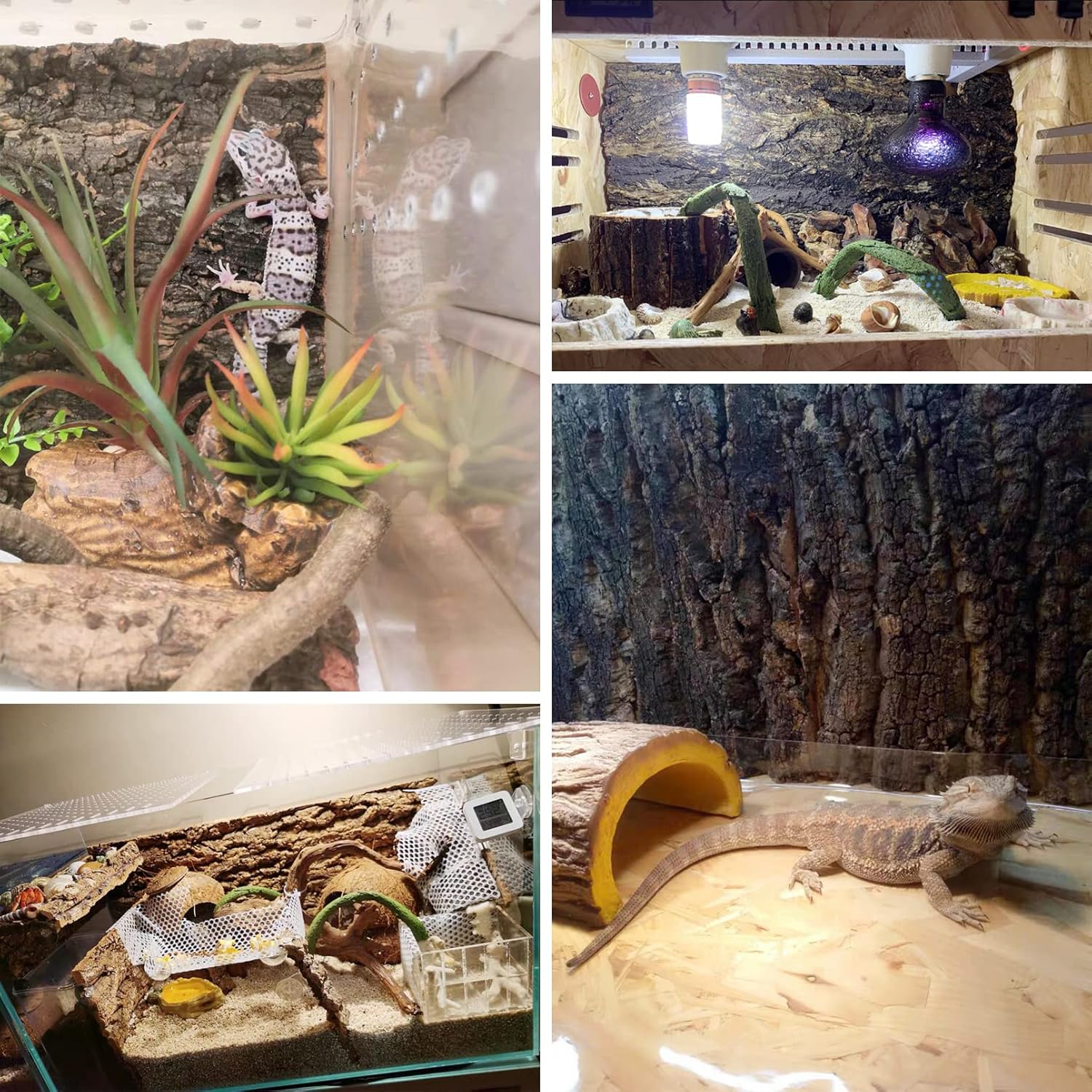 Fhiny 2 PCS Cork Bark Background, 11.6" x 7.7" Natural Cork Bark for Reptiles Tank Backdrop Reptile Climbing Wall Terrarium Decor Accessories for Turtle Beared Dragon Chameleon Snake