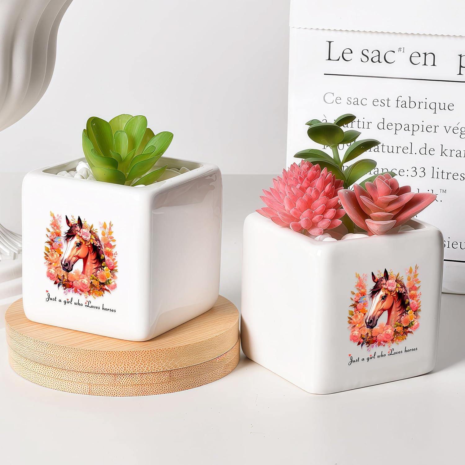 Horse Succulent Planter Flower Plant Pot Small, Gifts for Women Teens Girls Kids, Horse Lovers Themed Stuff Accessories Things Decor Merch, Home Office Table Desk Decoration!