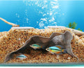 Pleco Cave, Two Hole Aquarium Cave & Shrimp Hideout, 3D Printed Fish Tank Tunnel Decor for Betta, Guppy, Shrimp, Cory, Small Cichlid (Gray)