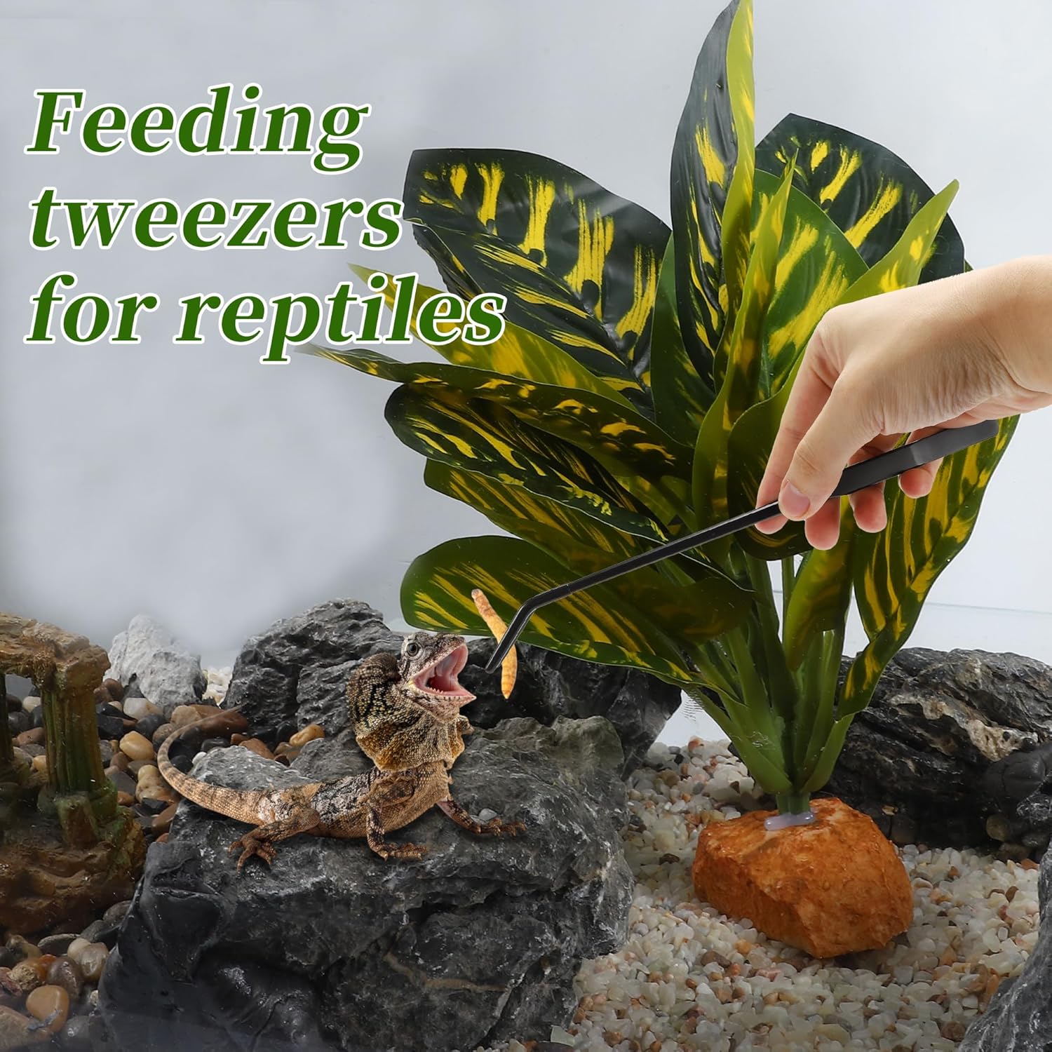 Reptile Feeding Tongs, Stainless Steel Lizard Feeding Tongs, Aquarium Curved Feeding Tweezers for Reptiles with Rubber Tip, Terrarium Feeding Tongs for Gecko, 10.63" Length, Black