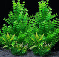 2 Pack Aquarium Decor Plastic Plants Extra Large Artificial Fish Tank Plants Tall Fish Tank Decorations- Green 12" Tall