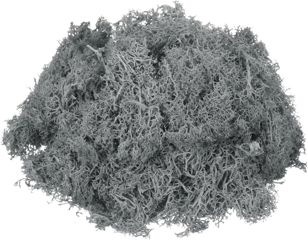 MECCANIXITY 3oz Preserved Reindeer Moss, Grey Decorative Artificial Fake Moss for Potted Plants Indoor Crafts Lichen Centerpieces Decor