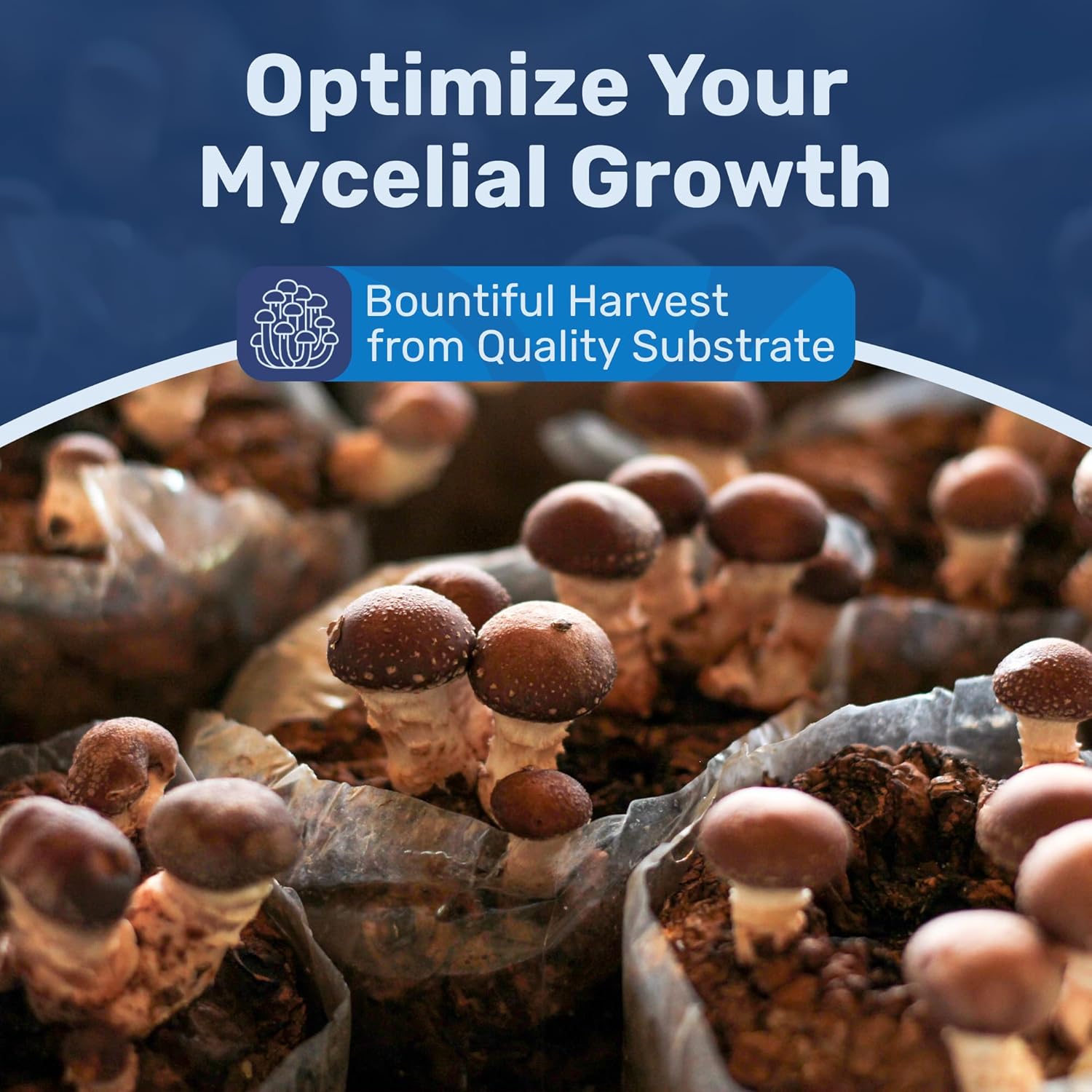 Surfin' Spores Premium Bulk Mushroom Substrate - 10 lbs Expert Mycologist Blend of Coco Coir, Vermiculite & Gypsum, Pasteurized & Odor-Free, Long Shelf-Life, Ideal for Monotub Cultivation