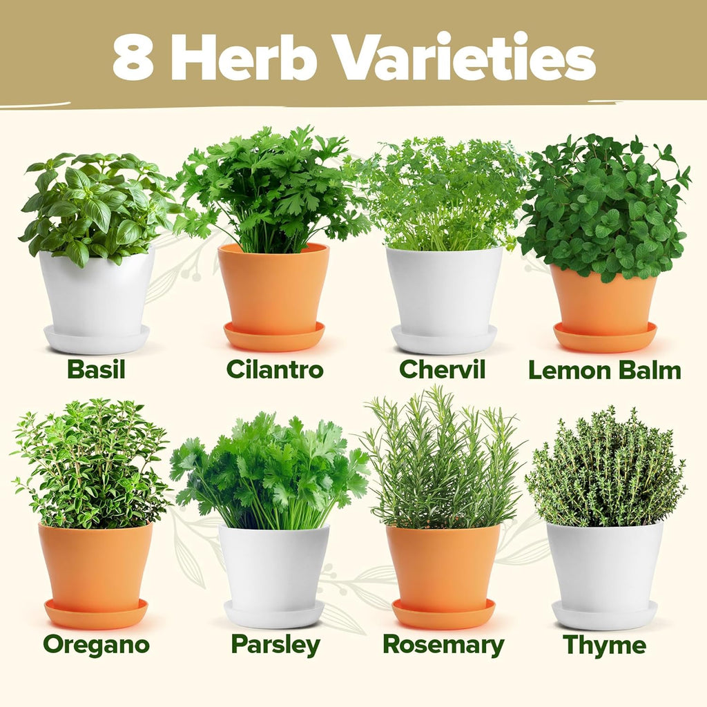 HOME GROWN Gift Herb Kit – 8 Herb Seeds Set with Basil, Cilantro, Mint & More, Complete Indoor Grow Kit for Kitchen, Gardening Gifts for Women & Men, Ideal for Cooking & Home Décor