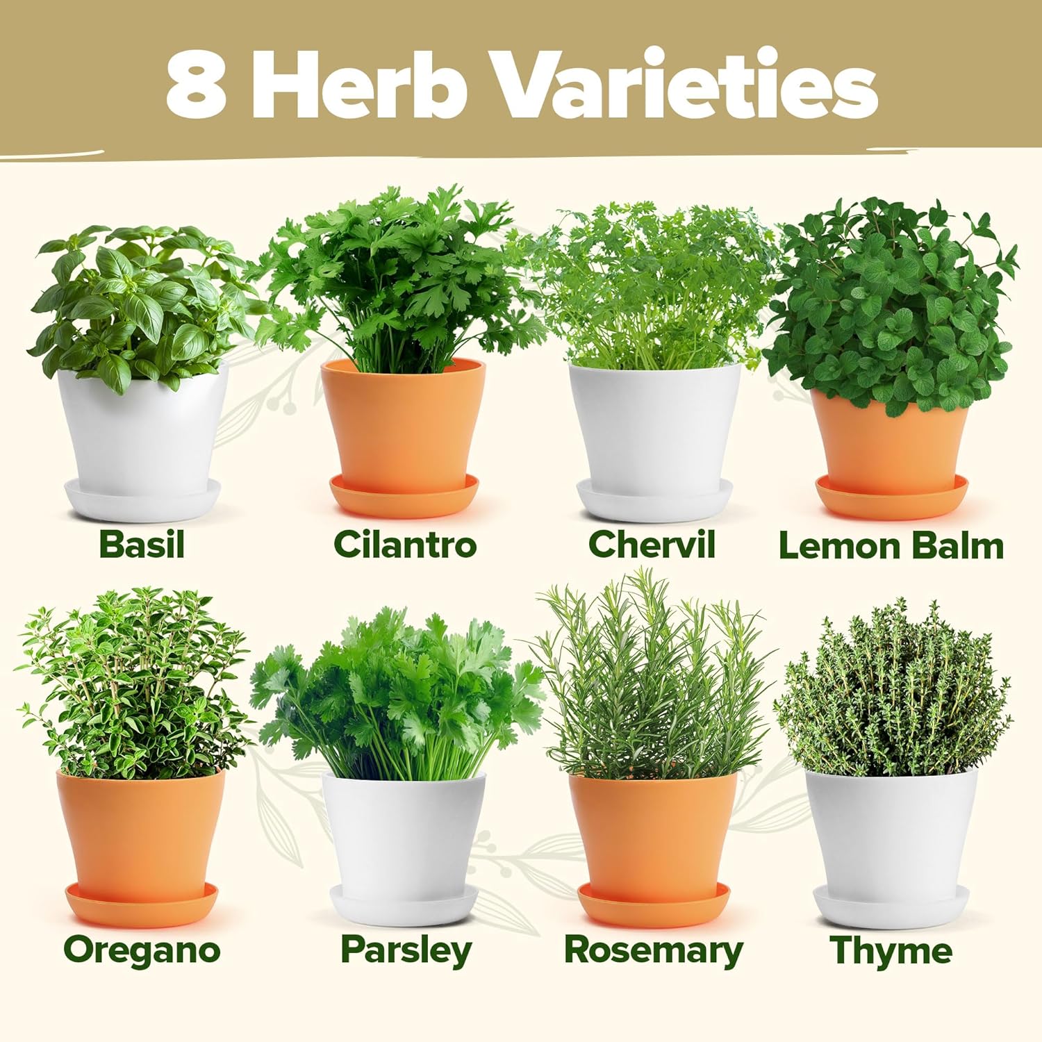 HOME GROWN Gift Herb Kit – 8 Herb Seeds Set with Basil, Cilantro, Mint & More, Complete Indoor Grow Kit for Kitchen, Gardening Gifts for Women & Men, Ideal for Cooking & Home Décor