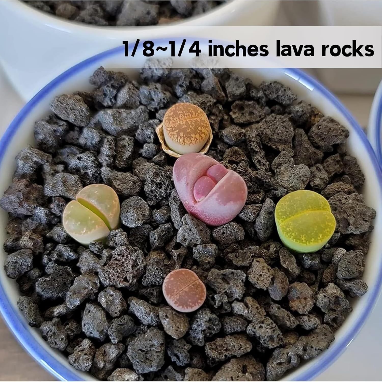3lb Black Lava Rock for Plant, 1/8-1/4 inch Horticultural Volcanic Rock Soil for Decorative Landscaping Bonsai, Cacti, Succulents Plants Top Dressing for Release Excess Water
