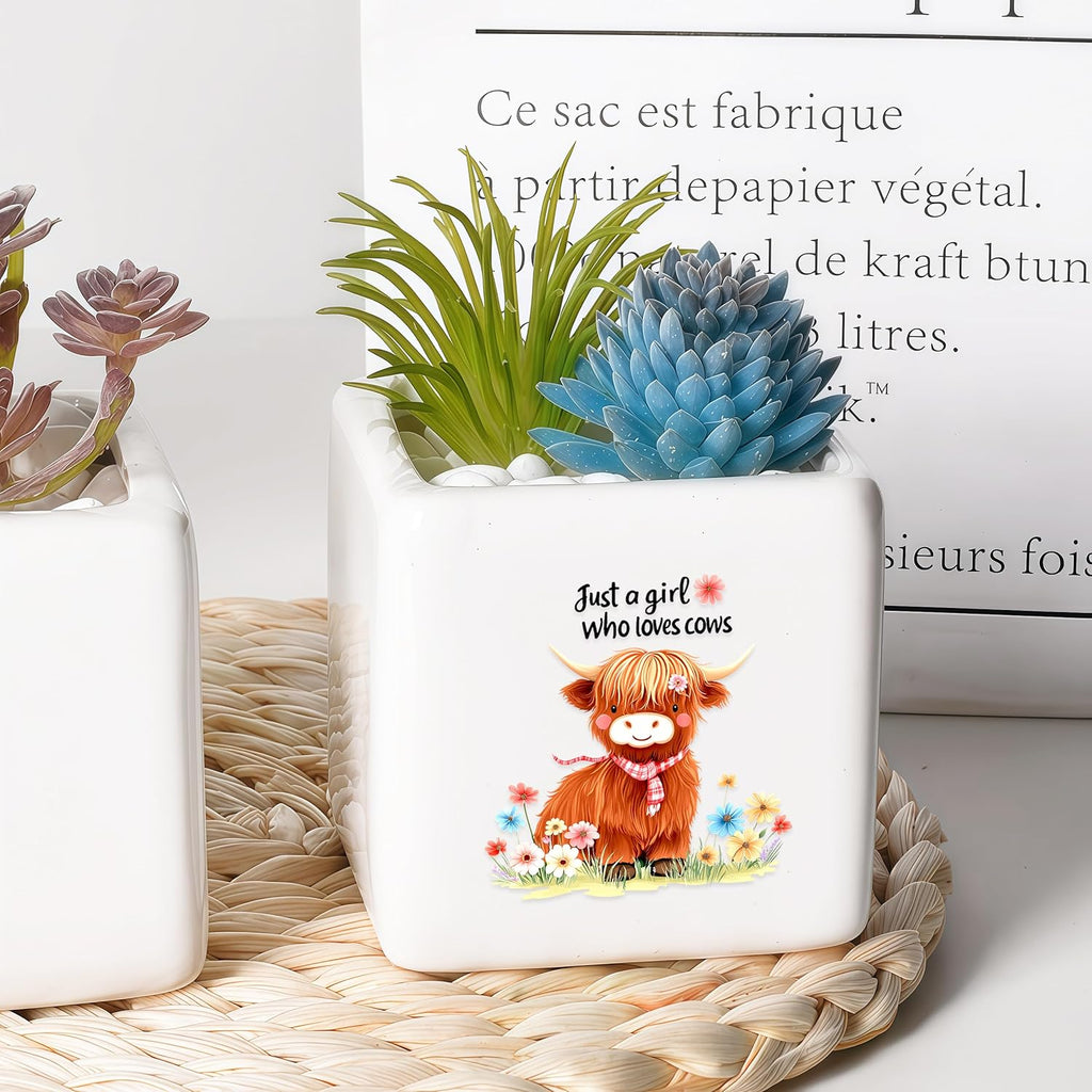 Highland Cow Succulent Planter Flower Plant Pot Small, Gifts for Women Teens Girls Kids, Cow Lovers Themed Stuff Accessories Things Decor Merch, Home Office Table Desk Decoration!