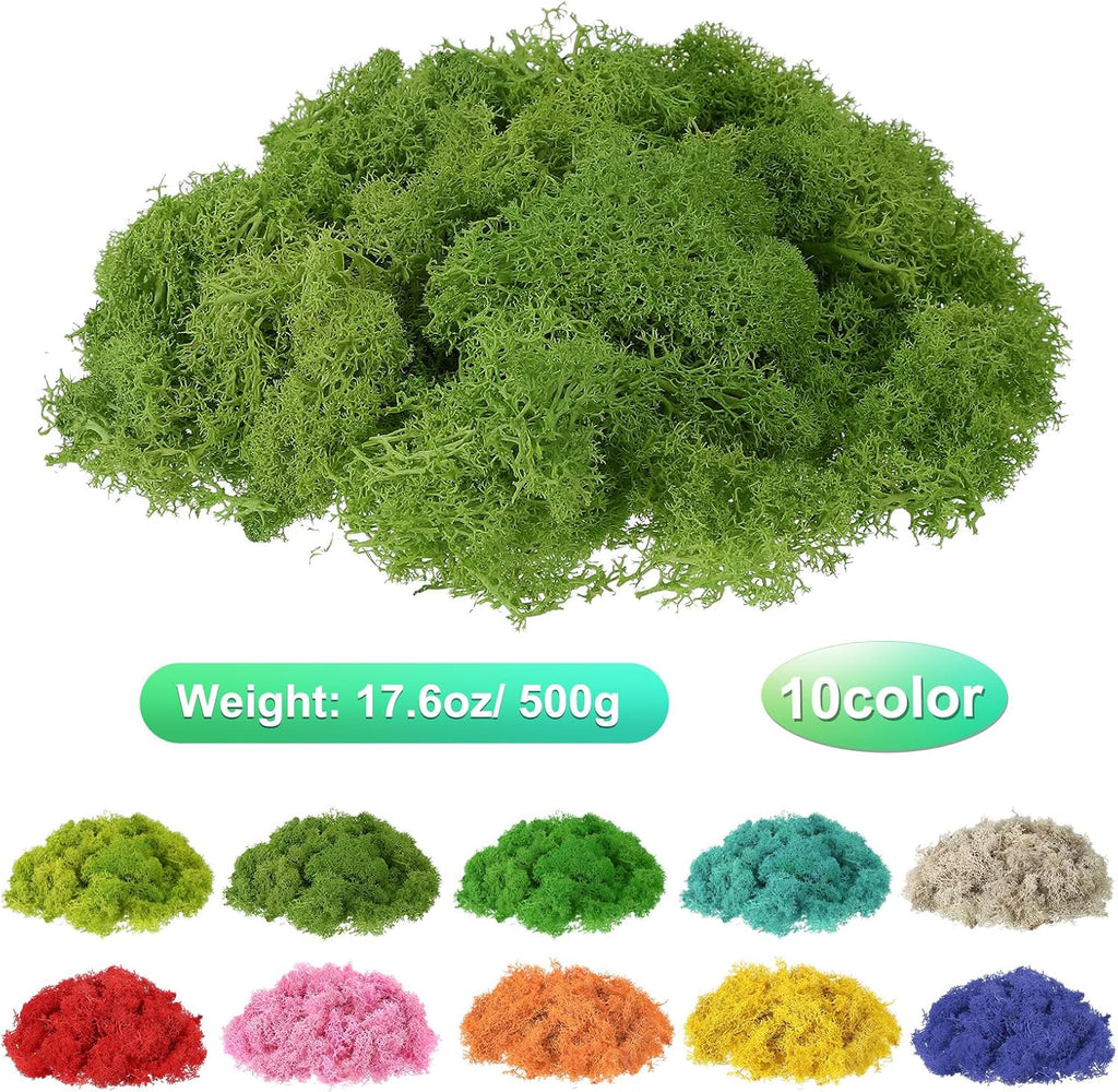 uxcell Preserved Reindeer Moss, 17.6oz Fake Moss for Crafts Artificial Dried Moss for Decoration Terrariums Potted Plants, Light Green