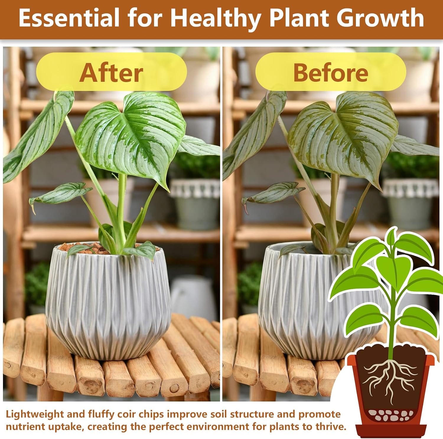 Legigo 10 Pack Coco Coir Chips for Plants- 11 LB 100% Organic Coconut Chips Brick Potting Mix with Low EC & PH Balance, Coconut Husk Substrate Coco Husk Mulch for Garden, Planting, Orchid and Soil Mix