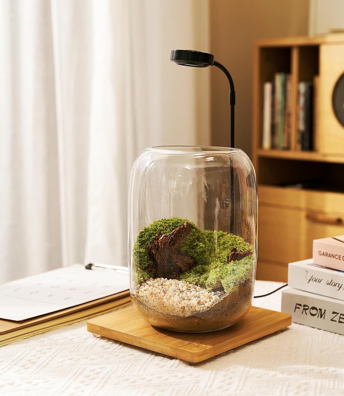 Terrarium Kit with Grow Light – 24-Piece DIY Glass Terrarium Set with Tools, Moss, Driftwood, Soil & Pebbles – Mini Gardening Kit for Air Plants, Succulents & Indoor Desk Decoration Gift