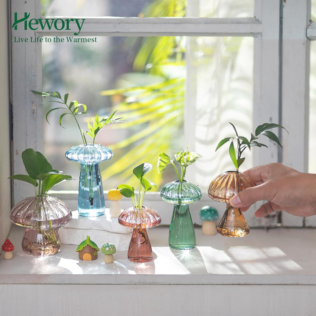 Hewory Glass Mushroom Propagation Stations: Set of 5 Unique Propagation Jars Glass Planter for Indoor Plants Home Decor - Colorful Mushroom Vase Christmas Birthday Gifts for Plant Lovers Women Girls