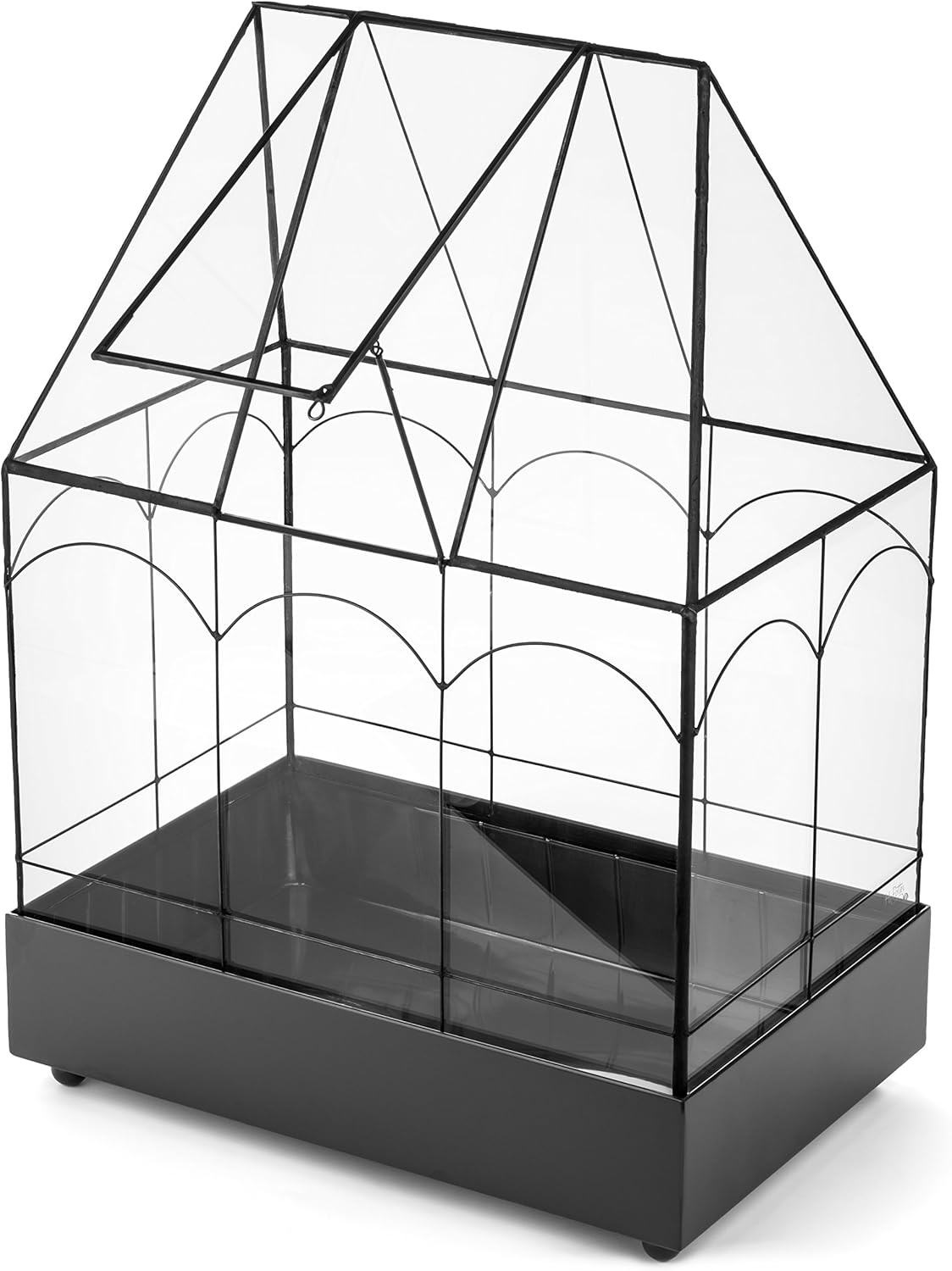 H Potter Glass Terrarium Wardian Case Succulent Planter Container for Plants Flowers Orchids Foliage and More WAR117
