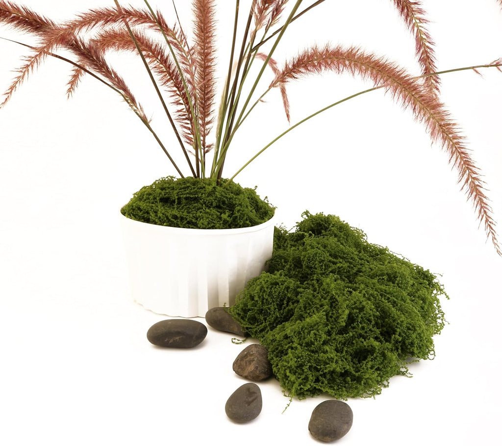 Dark Green Moss is Used for Handicrafts, Artificial Moss, Glass Vase Fillers, Wedding/Christmas/Spring Green Parties/Indoor Flower Pots/DIY Rainforest Models/Table Decoration (7.05 Ounces)