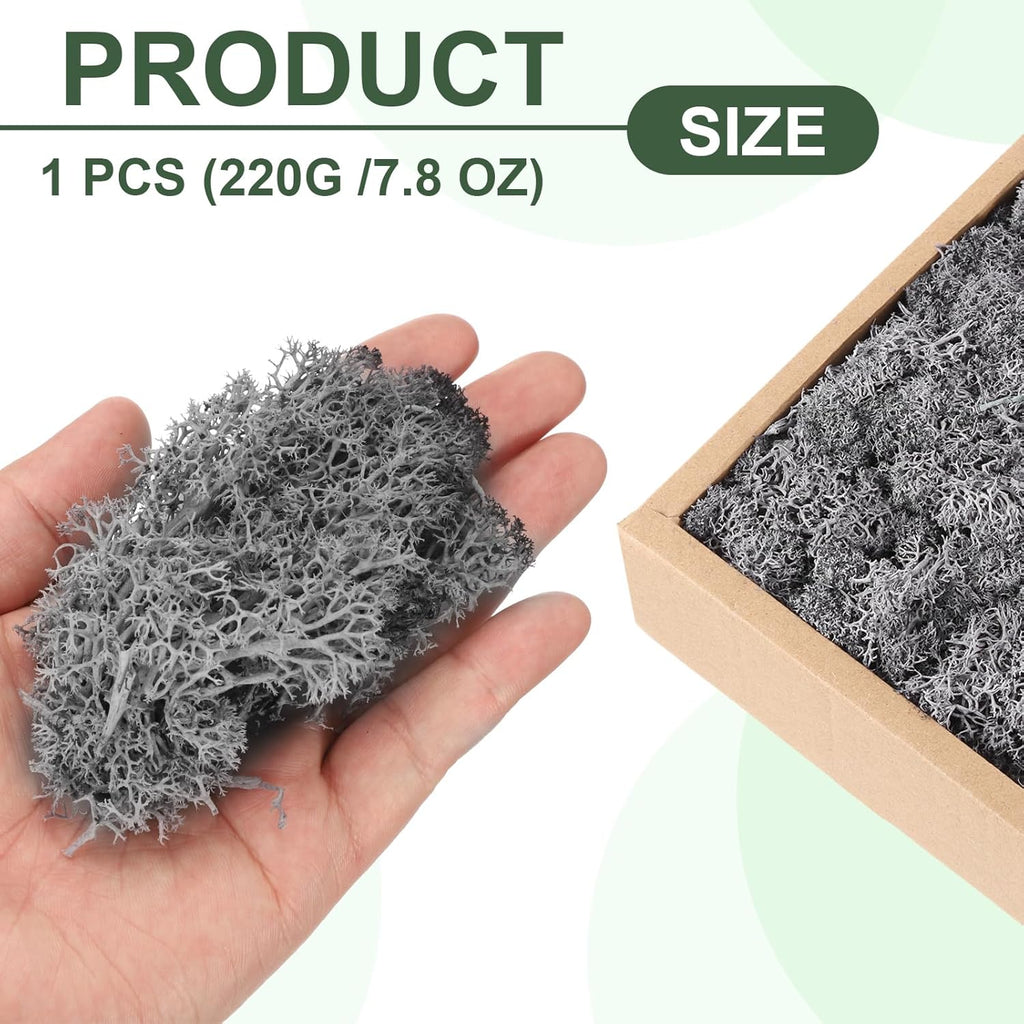 MECCANIXITY 7.8oz Preserved Reindeer Moss, Grey Decorative Artificial Fake Moss for Potted Plants Indoor Crafts Lichen Centerpieces Decor