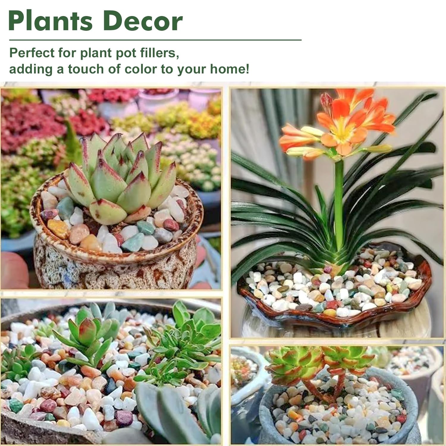 11 lbs Succulent and Cactus Bonsai Pebbles, 4-6mm Decorative Landscaping Polished Stones Natural Garden Gravel Rocks for Indoor Outdoor Plants Aquariums DIY, and Gardening Top Dressing, Multicolor