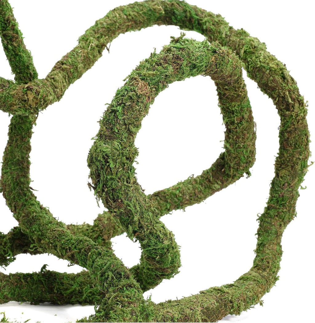 Moss Vine for Reptiles, Bendable Climbing Vines Reptile Tank Accessories, Natural Moss Rope for Leopard Gecko, Lizard, Snake, Chameleon, Frog Terrarium Decor (Jungle Green, 9.8 FT)