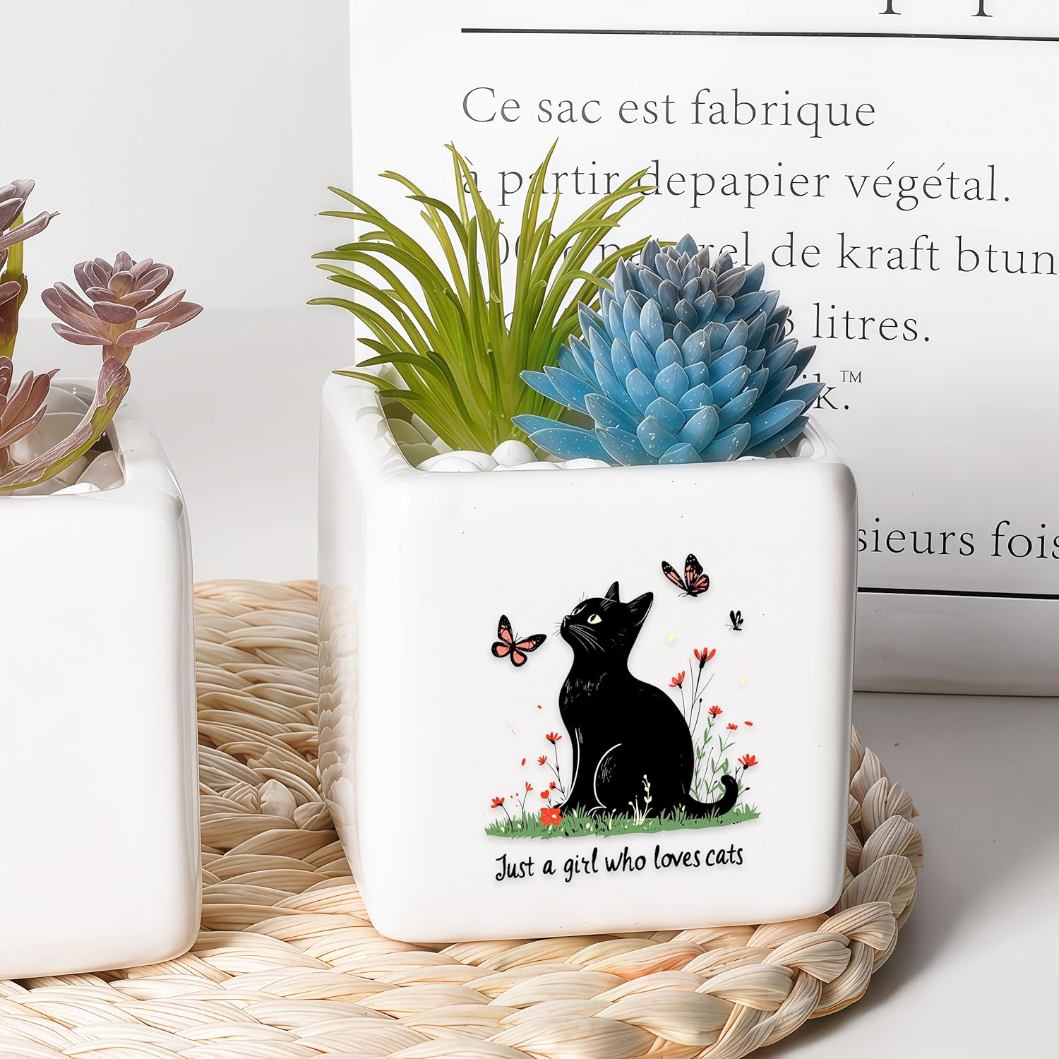 Black Cat Succulent Planter Flower Plant Pot Small, Gifts for Women Teens Girls Kids, Cat Lovers Themed Stuff Accessories Things Decor Merch, Home Office Table Desk Decoration!