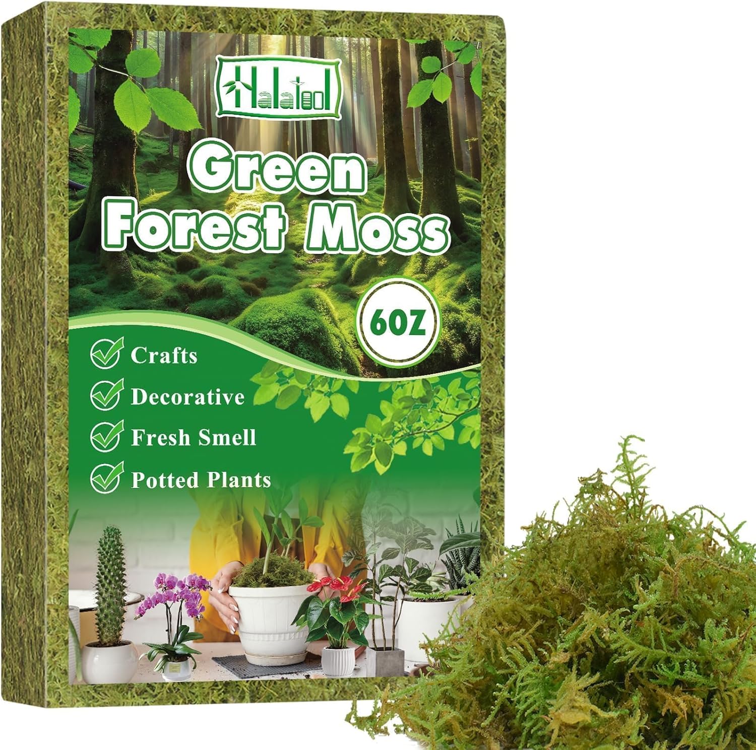 Halatool 6OZ Green Moss for Indoor Plants, 8QT Orchid Moss for Repotting, Forest Moss for Potted Plants, Real Moss for Succulent Carnivorous Houseplant Terrariums Garden Reptiles