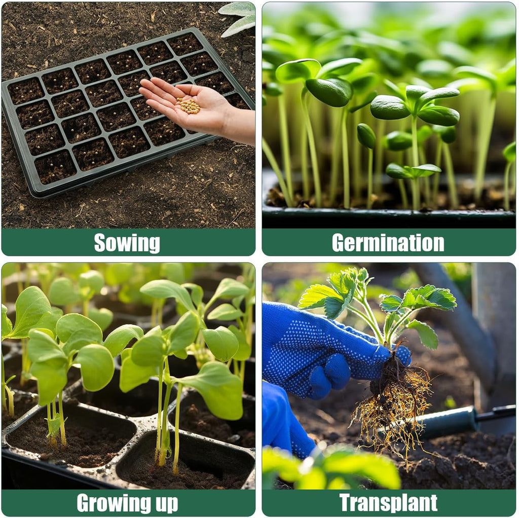 24XL Cell Seed Starter Tray with Dome-5 Pack 2'' Plug Seedling Trays(total 120 cells), Plant Germination Tray with Humidity Vented Lid and Base, Mini Propagator Plant Greenhouse for Seed Growing