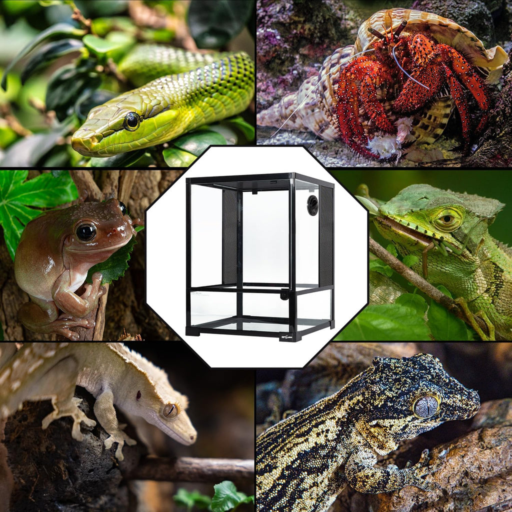 REPTI ZOO 30 Gallon Reptile Glass Terrarium, 18" x 18" x 24" Rainforest Habitat Tank with Front Opening Door, Knock-Down Vertical Reptile Terrarium with Top Screen & Side Mesh Ventilation