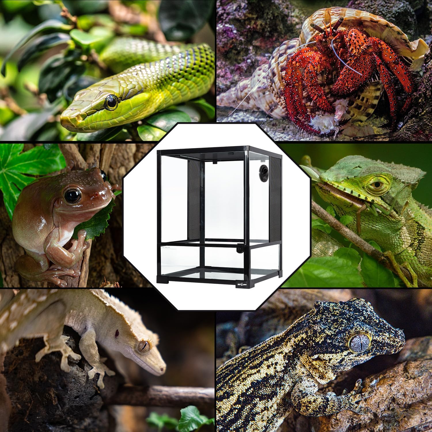 REPTI ZOO 30 Gallon Reptile Glass Terrarium, 18" x 18" x 24" Rainforest Habitat Tank with Front Opening Door, Knock-Down Vertical Reptile Terrarium with Top Screen & Side Mesh Ventilation