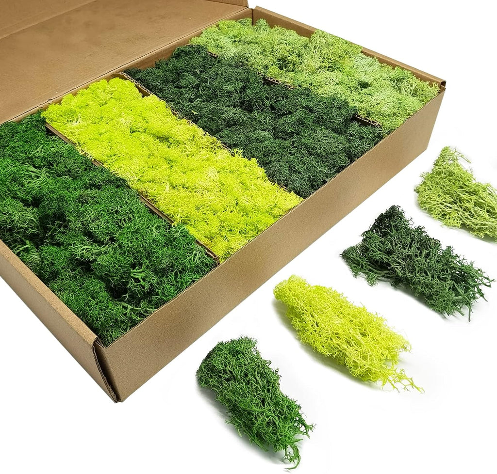 TurelinnG Preserved Moss 4 Color Reindeer Craft Moss, Total 14 OZ Each Color 3.5 OZ, Fake Moss Suitable for Flowerbeds, Crafts, Home Office Artistic Decoration (4 Colors)