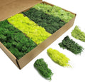 TurelinnG Preserved Moss 4 Color Reindeer Craft Moss, Total 14 OZ Each Color 3.5 OZ, Fake Moss Suitable for Flowerbeds, Crafts, Home Office Artistic Decoration (4 Colors)