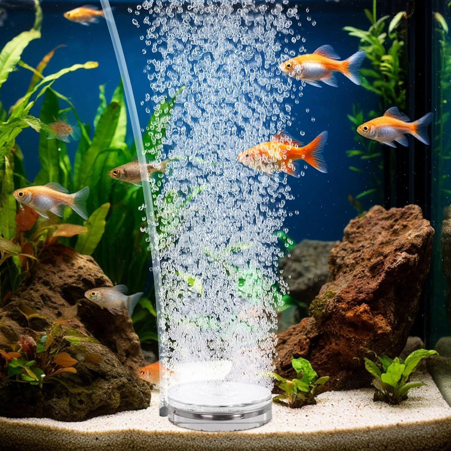 hygger Air Stones for Aquariums, Transparent Acrylic Fish Tank Bubbler Kit with Air Tube, Ultra Silent Bubble Stone Super-High Dissolved Oxygen Diffuser for Aquarium Fish Tank and Hydroponic
