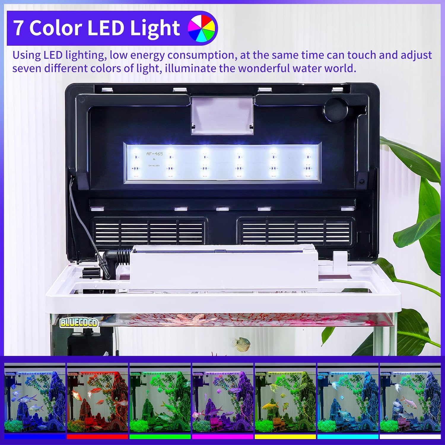12 Gallon Fish Tank Starter Kit with Eco-Cycle Filtration, 7-Color LED Light & Air Pump. Features 360° Crystal View, Temp/Time Display, Quiet Aquarium Kit for Betta & Freshwater Fish.