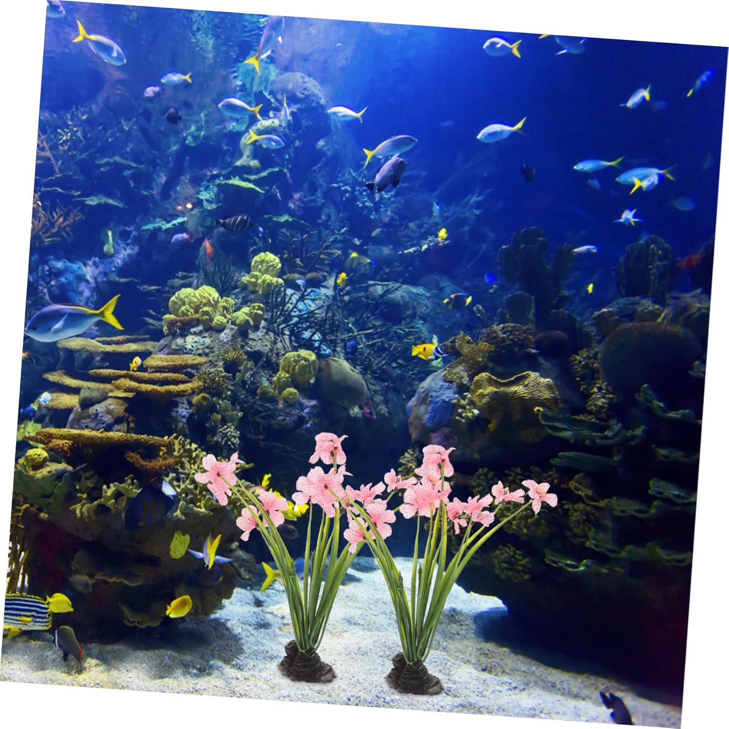 NOLITOY 6 Pcs Aquatic Plant Fish Tank Small Fish Tank Plant Decoration Decorative Aquarium Compact Aquarium Realistic Decor Realistic