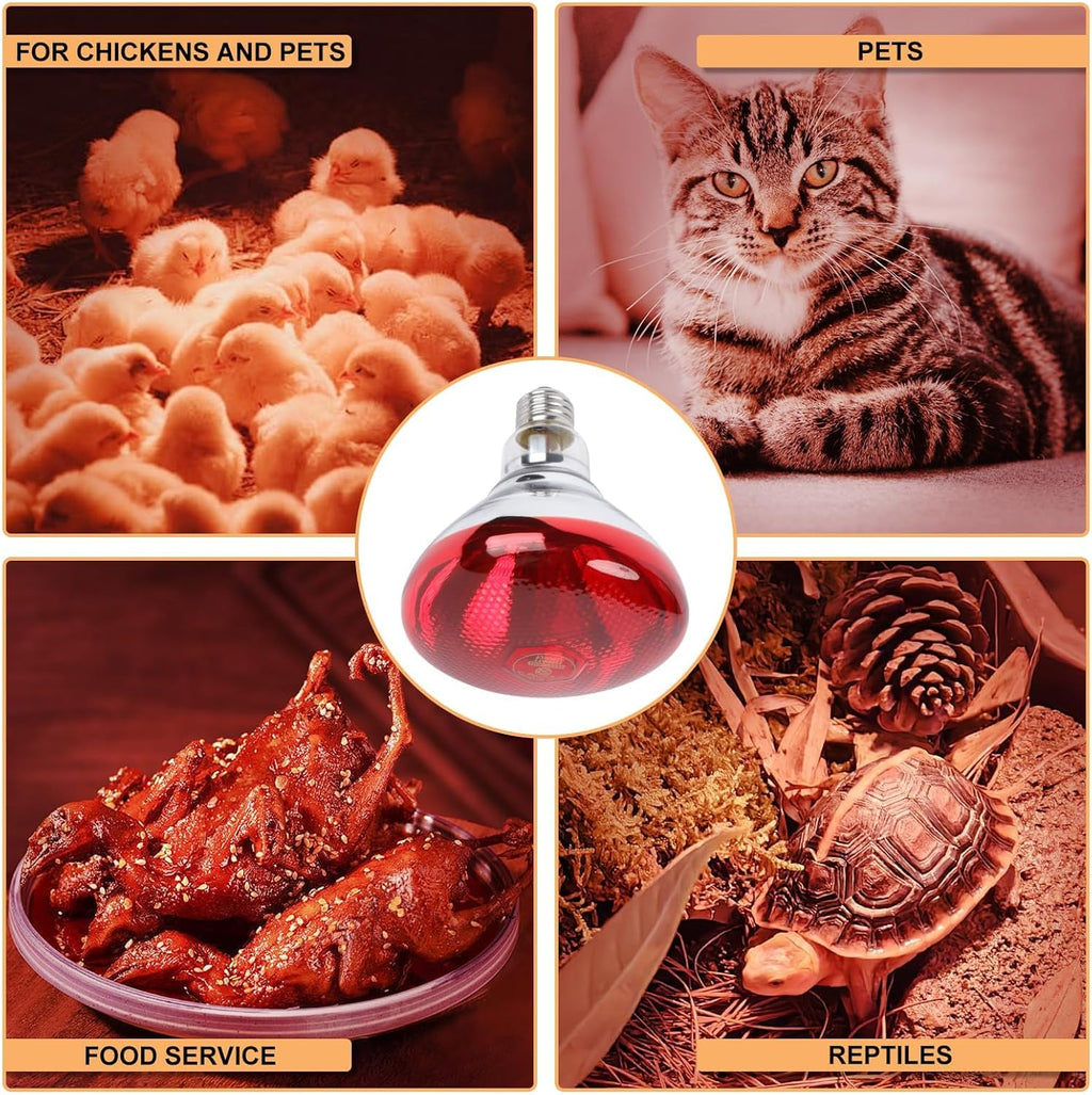250W Red Heat Lamp Bulbs for Chicken,Infrared Flood Light Heat Lamp Bulb, Incandescent Light Heat Lamps for Chicks, Reptile, Pets, Par38 Glass E26 Base 2PCS