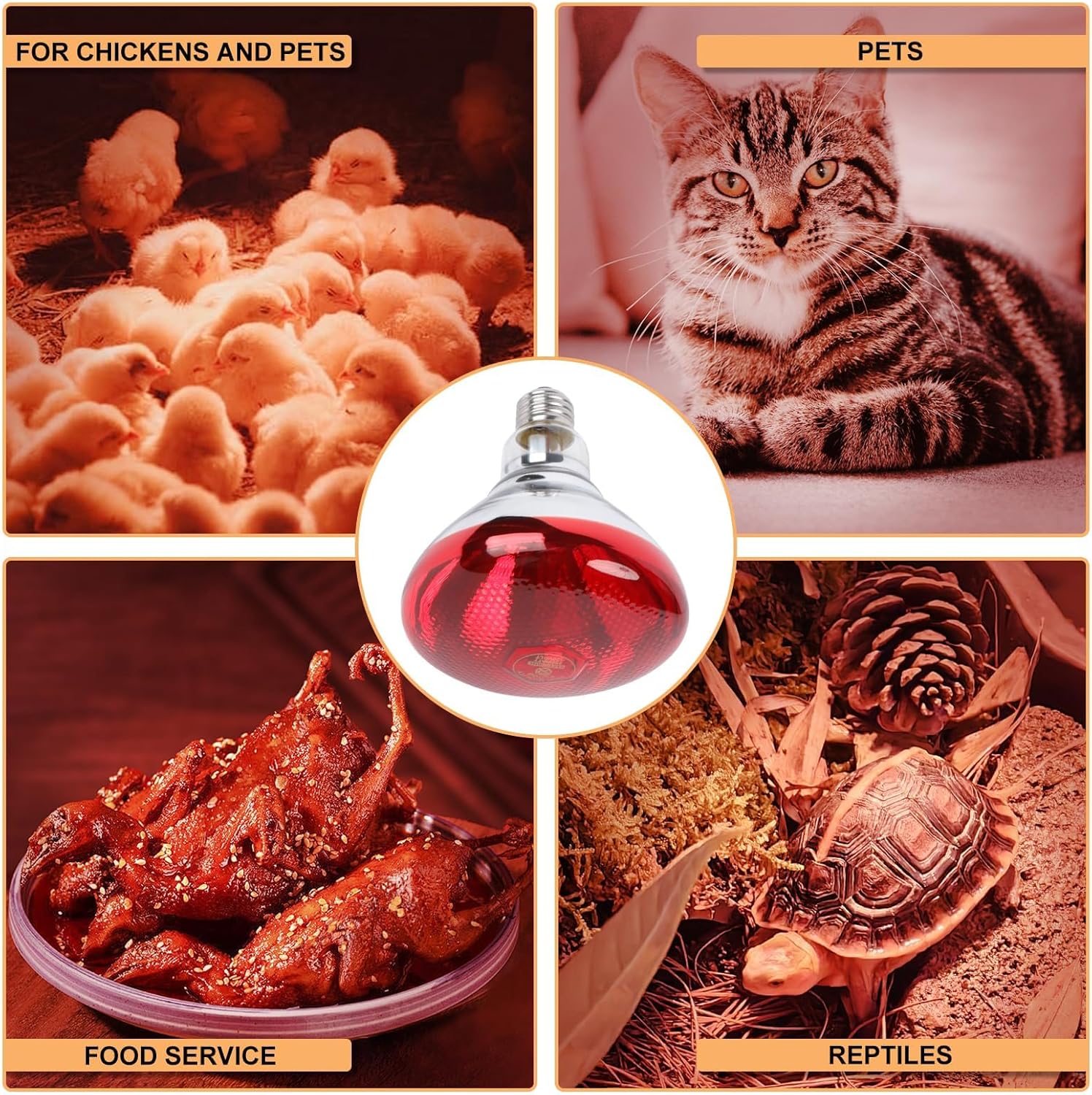 250W Red Heat Lamp Bulbs for Chicken,Infrared Flood Light Heat Lamp Bulb, Incandescent Light Heat Lamps for Chicks, Reptile, Pets, Par38 Glass E26 Base 2PCS