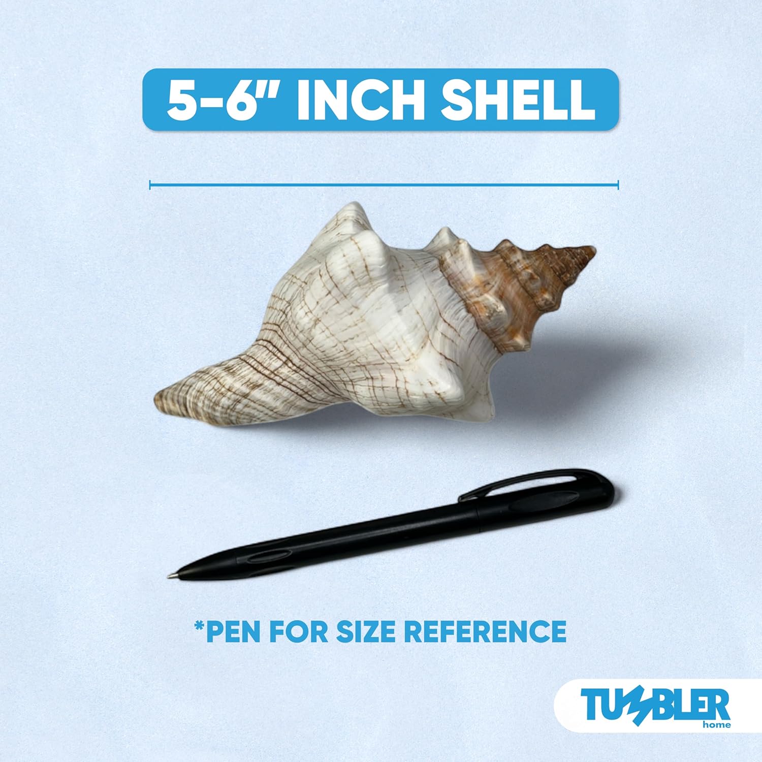 Tumbler Home Large Conch Sea Shells for Decorating or Fish Tank, Coastal & Nautical Decor, Air Plant Holder, Aquarium Ornaments, Big Sea Shell, Decorative Seashells, Beach Party Decor (Fox)