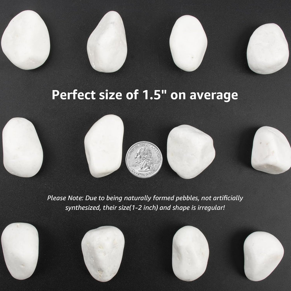 20lbs White Natural River Rocks, Polished Pebbles for Plants Garden, 1-2 inch Decorative White Stones, Ideal for Fish Tank, Vases, Crafting, Home Decor and Garden Landscaping Rocks,White