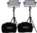 Dracast Pro Series LED500 Bi-Color LED 2 Light Kit with Gold Mount Battery Plates and Light Stands