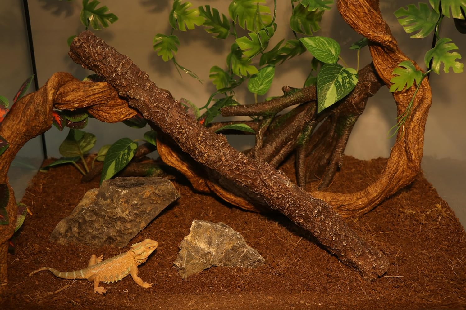 AQUA KT Reptile Climbing Stick Corner Tree Branch for Lizard Bearded Dragon Snake Hermit Crab Leopard Gecko Tree Frog Climber Accessory Terrarium Habitat Decoration