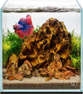 UNS Ultra Clear Rimless Tank - 2.1GAL | 8L - 7.87x7.87x7.87 | 20x20x20 CM, 5mm Glass Thickness, Leveling Mat Included - Low Iron, High Clarity Fish Tank w/ 45° Mitered Edge - [20C]