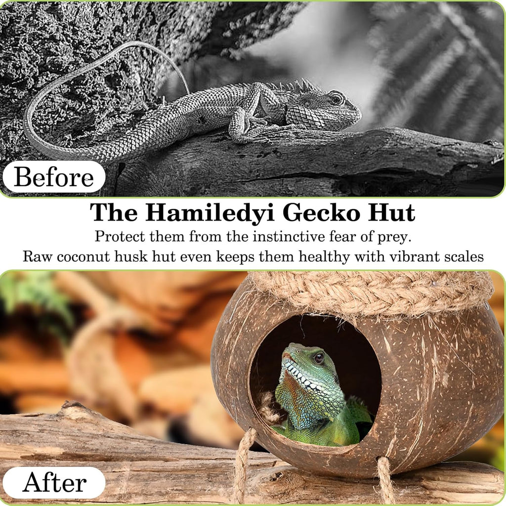 Hamiledyi Lizard Coco Den Reptile Hideouts Gecko Coconut Shell Hut Coconut hut for Geckos Bearded Dragon Tank Accessories Coconut Lizard Hut with Ladder - Natural Coconut Fiber