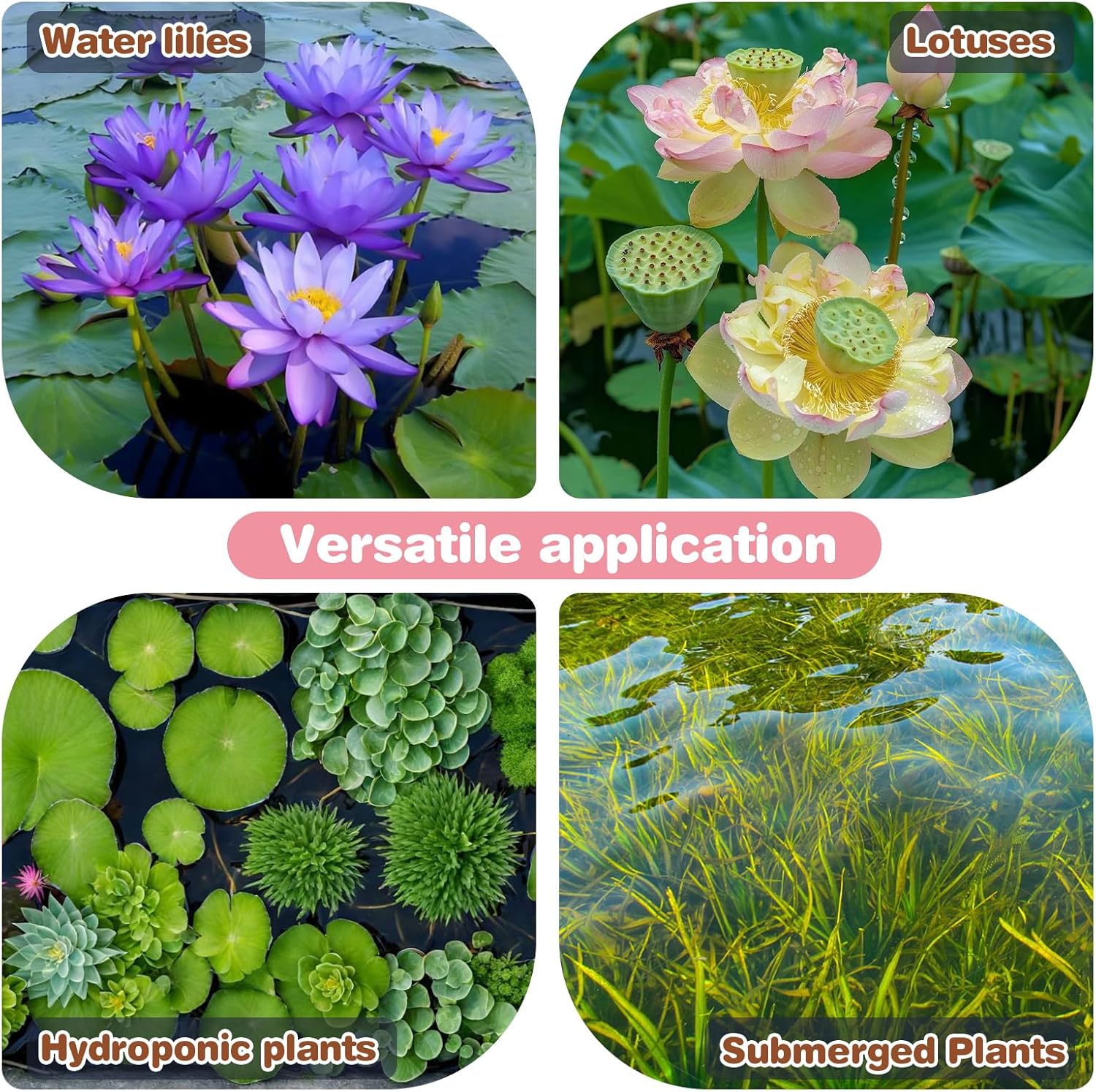 Aquatic Plant Soil & Aquarium Soil, Natural Organic Substrate for Water Plants - Safe for Fish, Nutrient-Rich Clay Base for Lotus & Water Lily (AquaticSoil, 6.6 LBS)