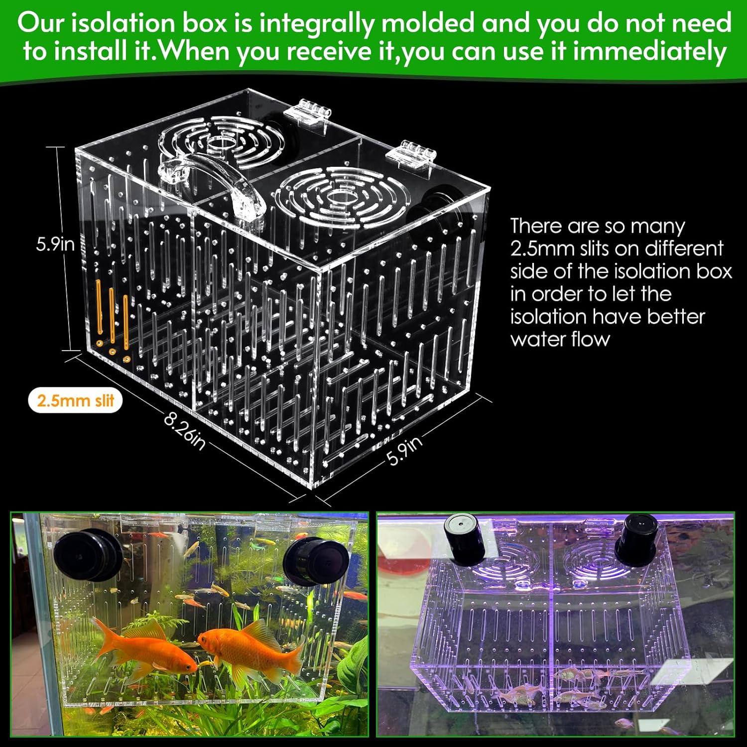 Magnet Acclimation Box for Saltwater Fish Quarantine Aquarium Isolation Box for Aquarium Fish Anemone Reef Coral