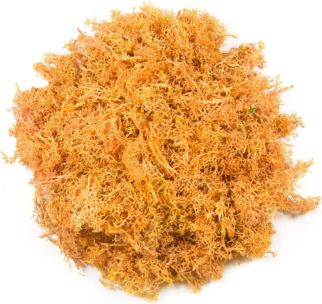 3.5 oz Artificial Moss for Plants Indoor, Fake Preserved Reindeer Moss for Centerpieces Home Decor Potted Plants Crafts Wedding Wall Decor(Orange)