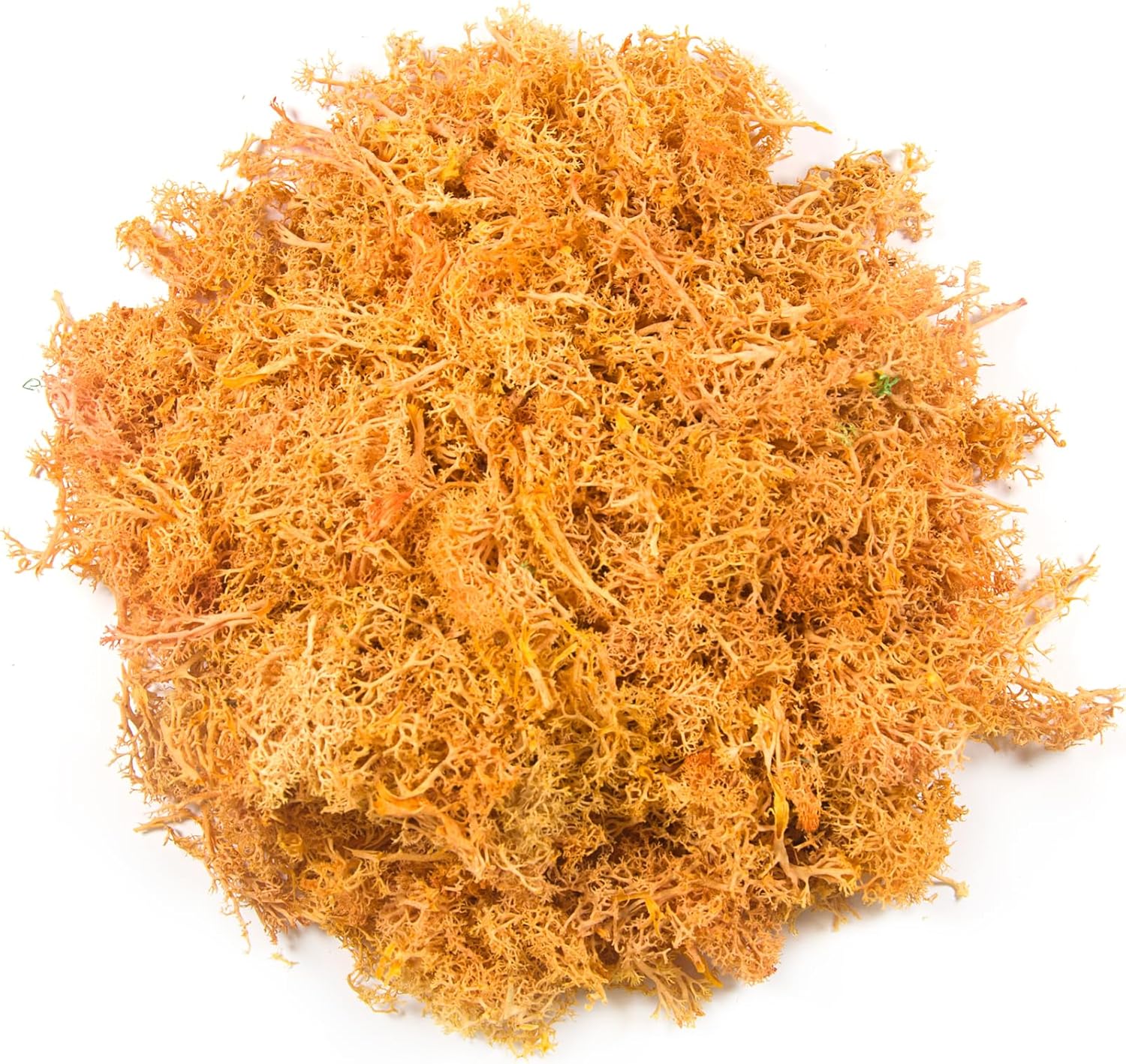 3.5 oz Artificial Moss for Plants Indoor, Fake Preserved Reindeer Moss for Centerpieces Home Decor Potted Plants Crafts Wedding Wall Decor(Orange)