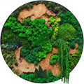 vadmepiop Natural Preserved Moss Wall Art with Real Wood Frame, Handcrafted Maintenance-Free Moss Wall Panel for Home Decor, Office, Restaurant, Bar & Cafe (Round, 15.75in)