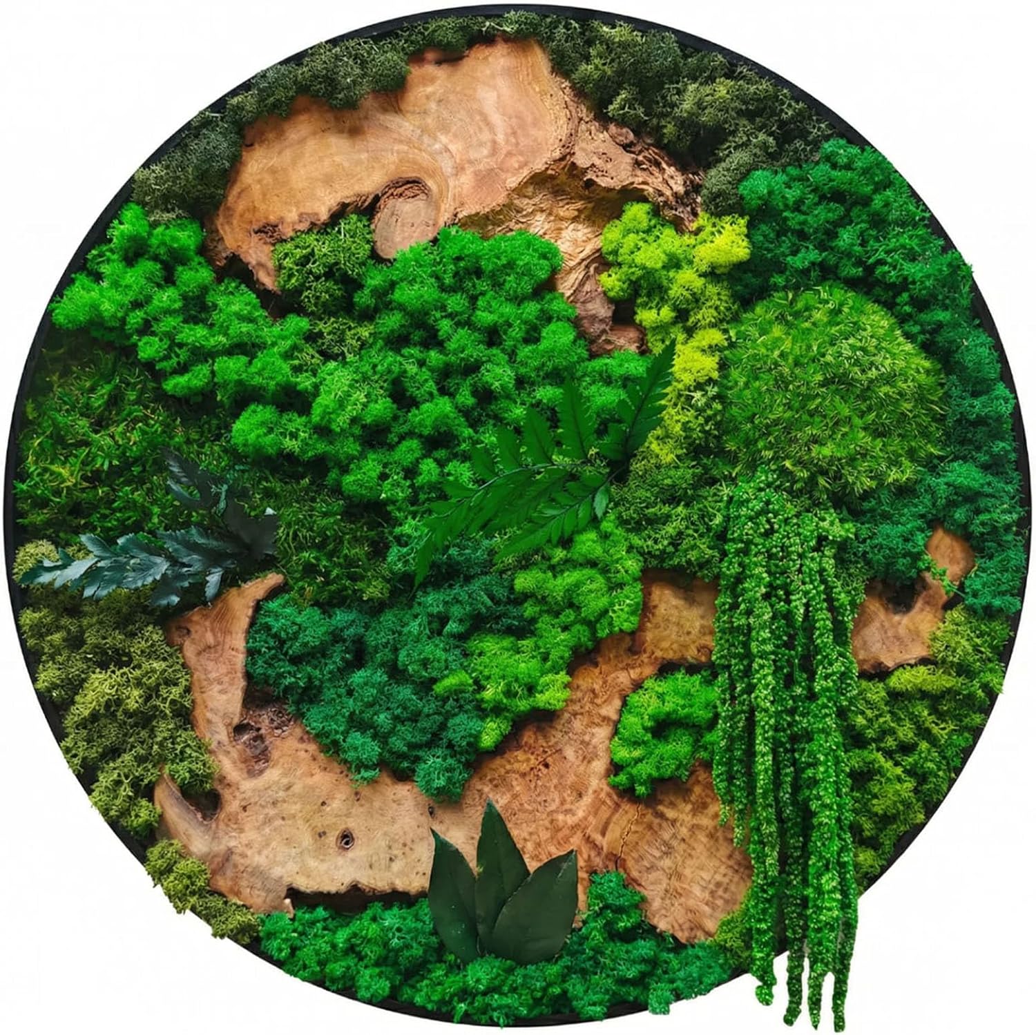 vadmepiop Natural Preserved Moss Wall Art with Real Wood Frame, Handcrafted Maintenance-Free Moss Wall Panel for Home Decor, Office, Restaurant, Bar & Cafe (Round, 15.75in)