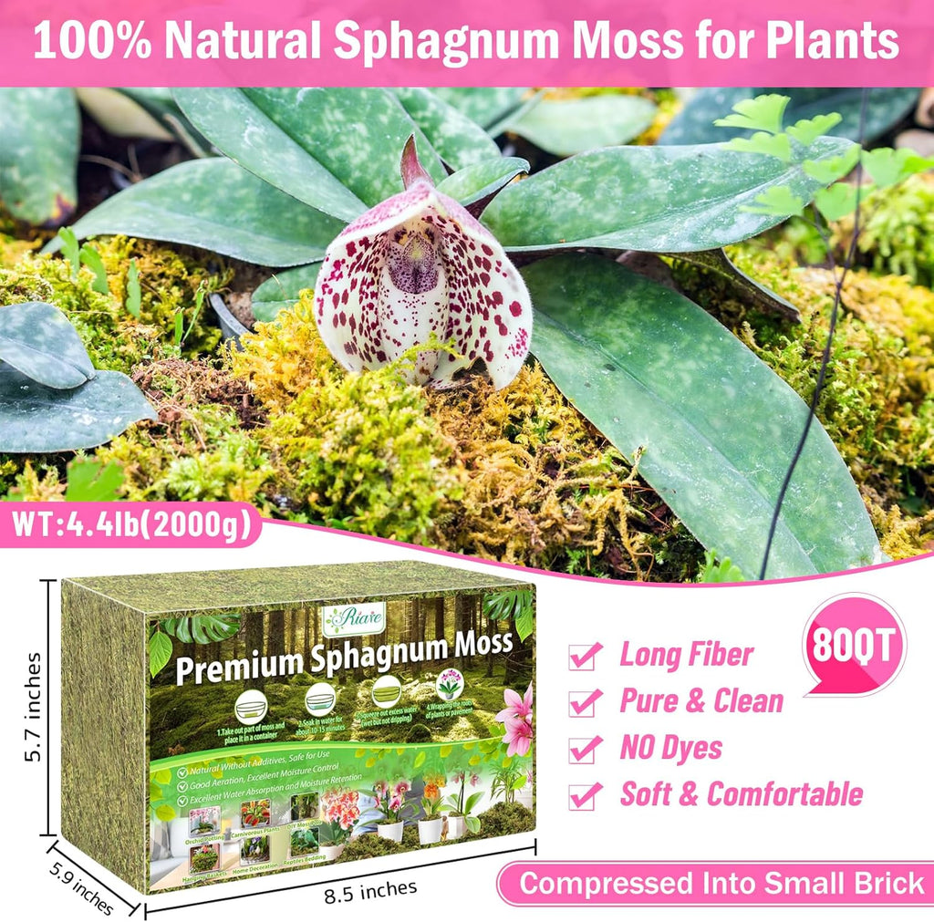 Riare 4.4LBS Premium Sphagnum Moss for Plants- 80QT Natural Dried Plant Moss for Potted Plants, Orchid Moss for Repotting, Soft Green Decorative Moss for Succulents, Reptiles & DIY Crafts