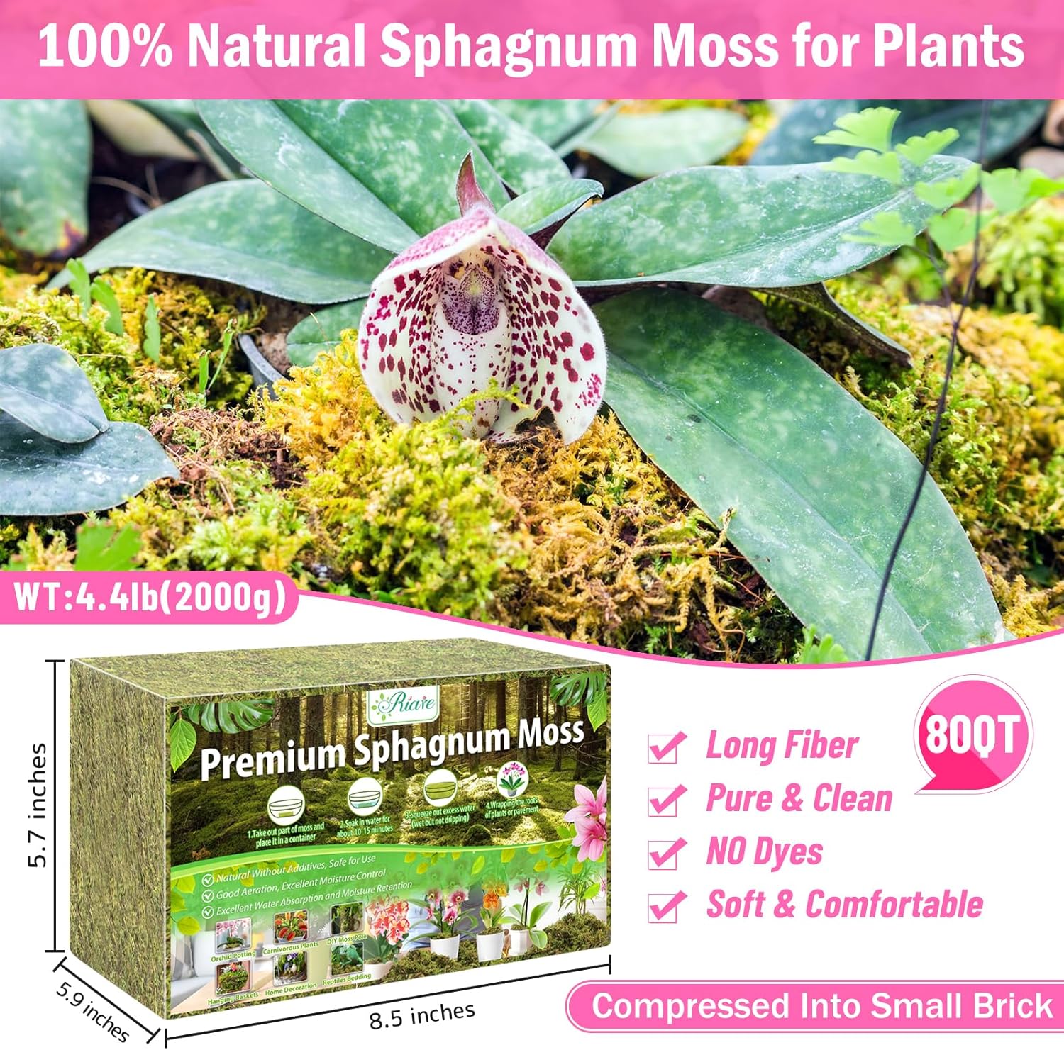 Riare 4.4LBS Premium Sphagnum Moss for Plants- 80QT Natural Dried Plant Moss for Potted Plants, Orchid Moss for Repotting, Soft Green Decorative Moss for Succulents, Reptiles & DIY Crafts