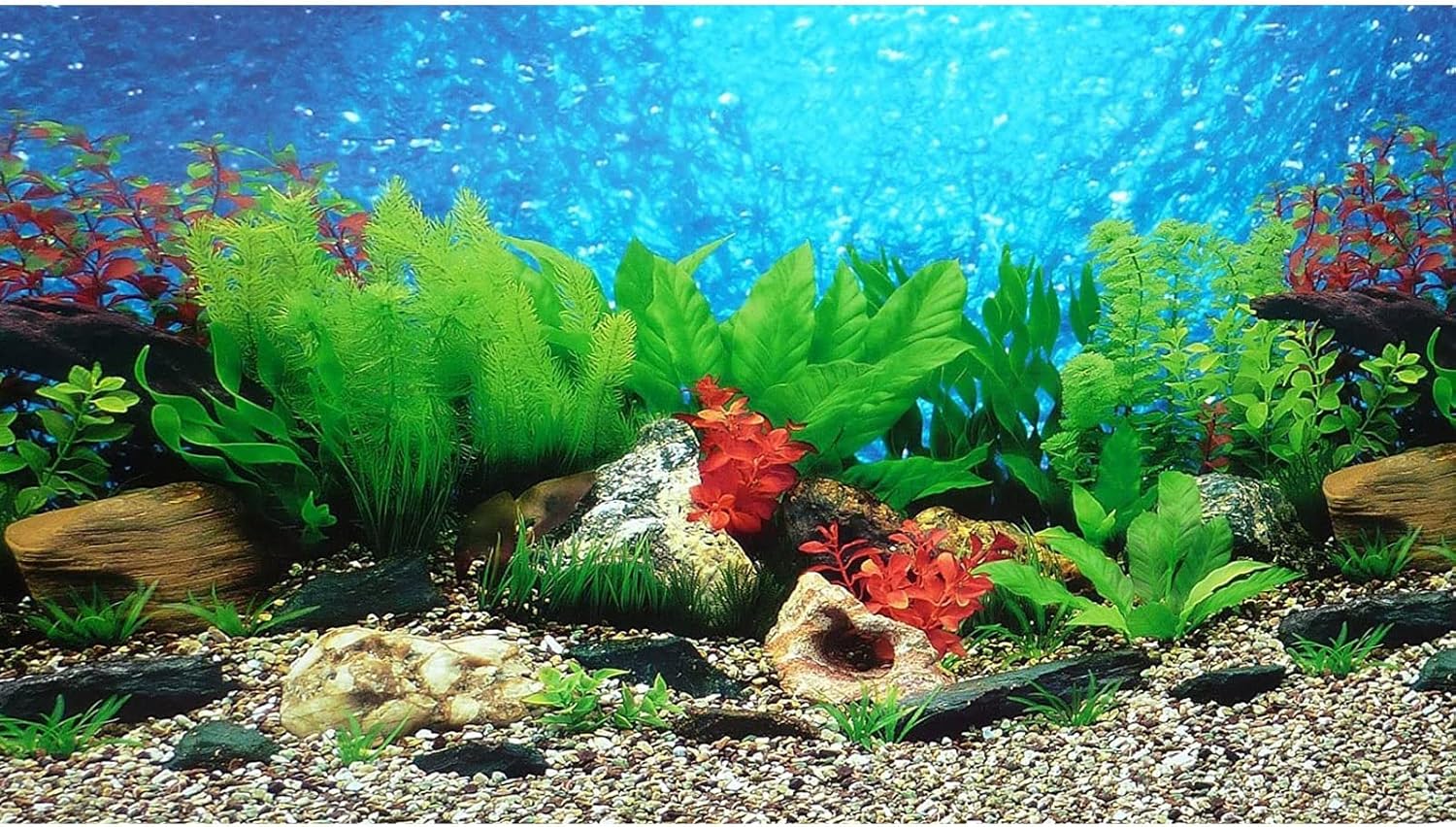 ELEBOX New 23" x 71" Fish Tank Background 2 Sided River Bed & Lake Background Aquarium