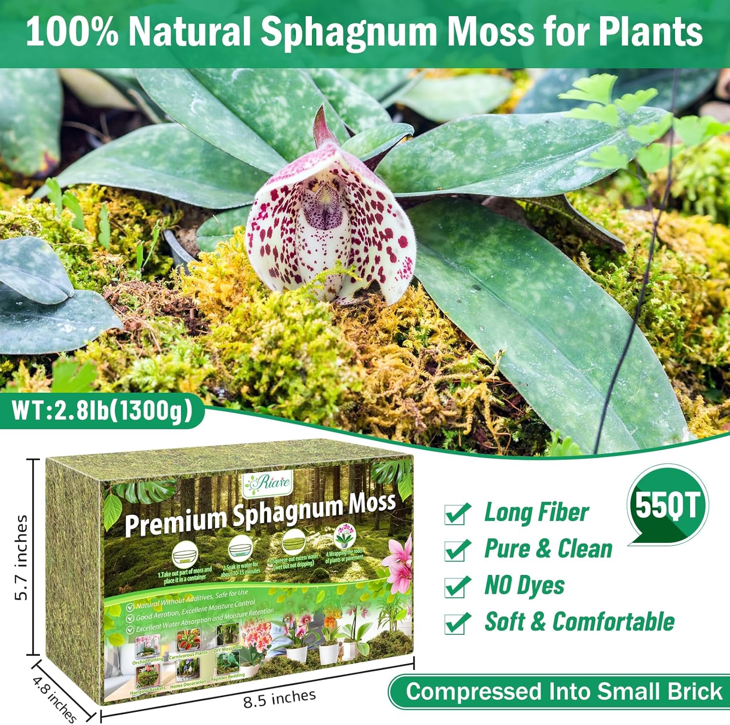 Riare 2.8LBS Premium Sphagnum Moss for Plants- 55QT Natural Dried Plant Moss for Potted Plants, Orchid Moss for Repotting, Soft Green Decorative Moss for Succulents, Reptiles & DIY Crafts